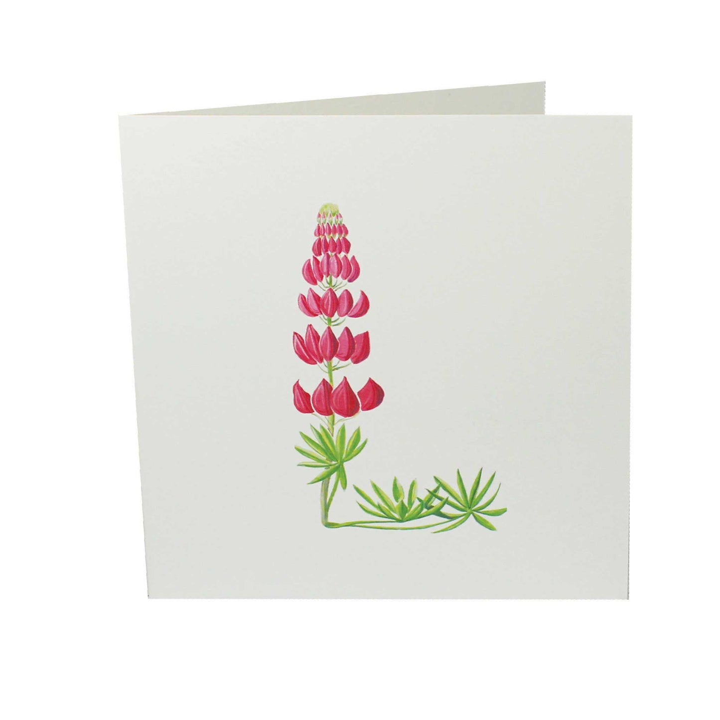 L is for Lupin