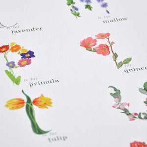 The Botanical ABC Flower Alphabet Print in Lower Case Letters