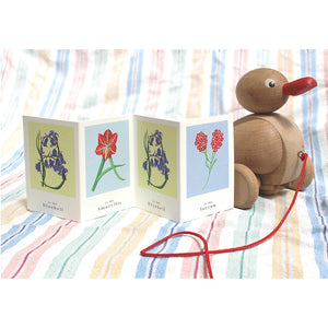 BABY Concertina Card & Decoration