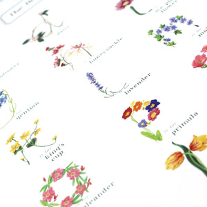 A Pair of The Botanical ABC Flower Alphabet Print, in Upper Case Letters and Lower Case Letters