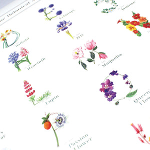 The Botanical ABC Flower Alphabet Print in Upper Case Letters