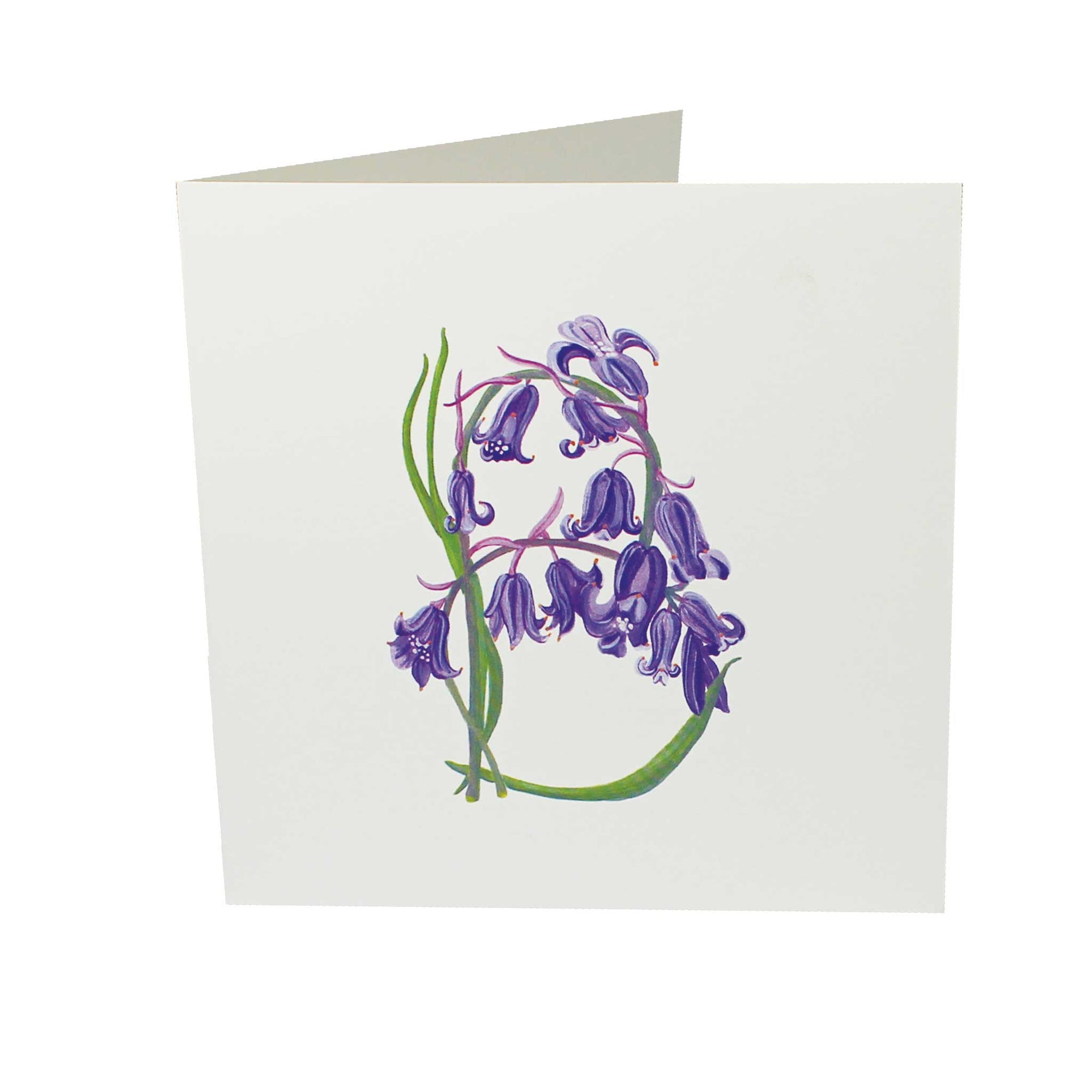 B is for Bluebell
