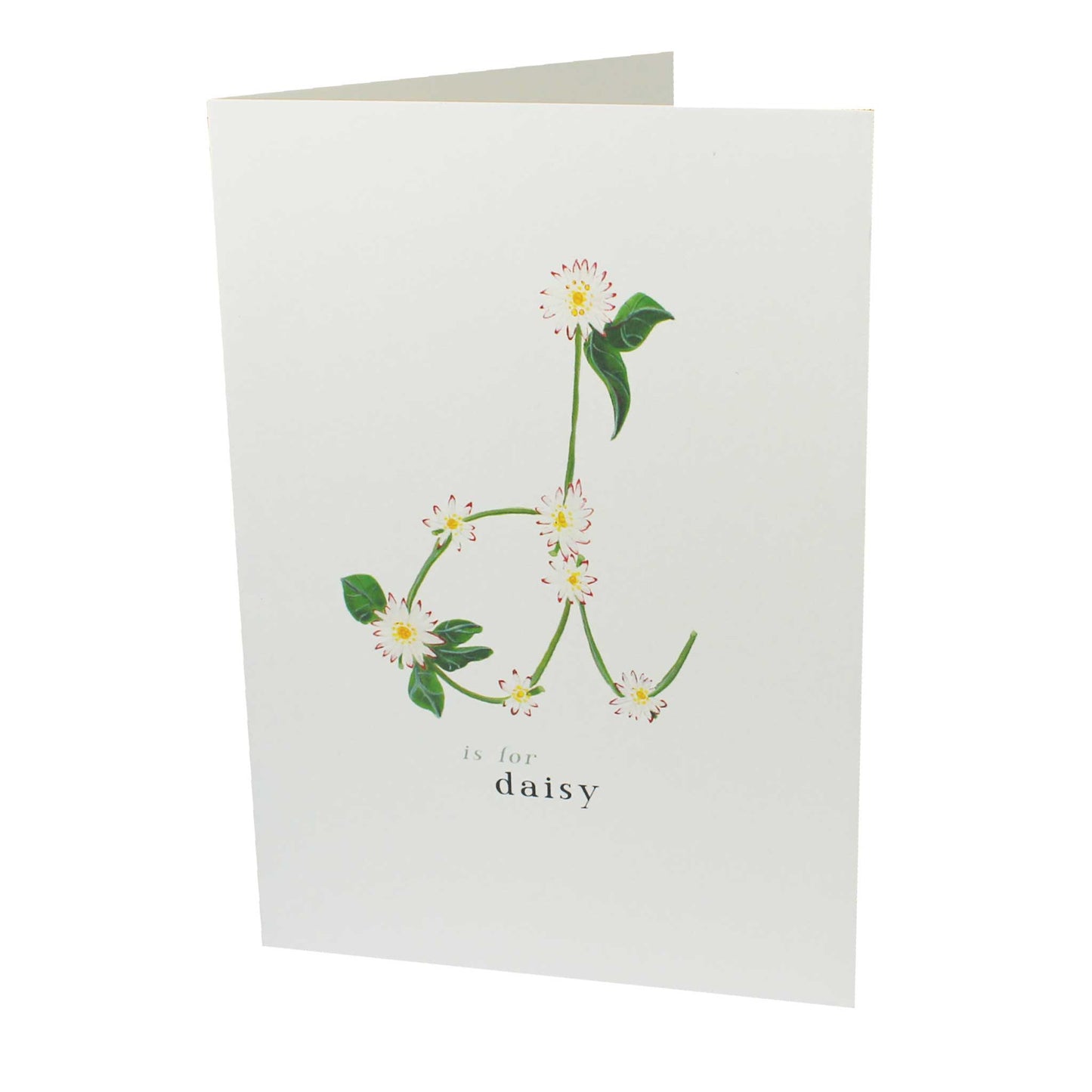 D is for Daisy