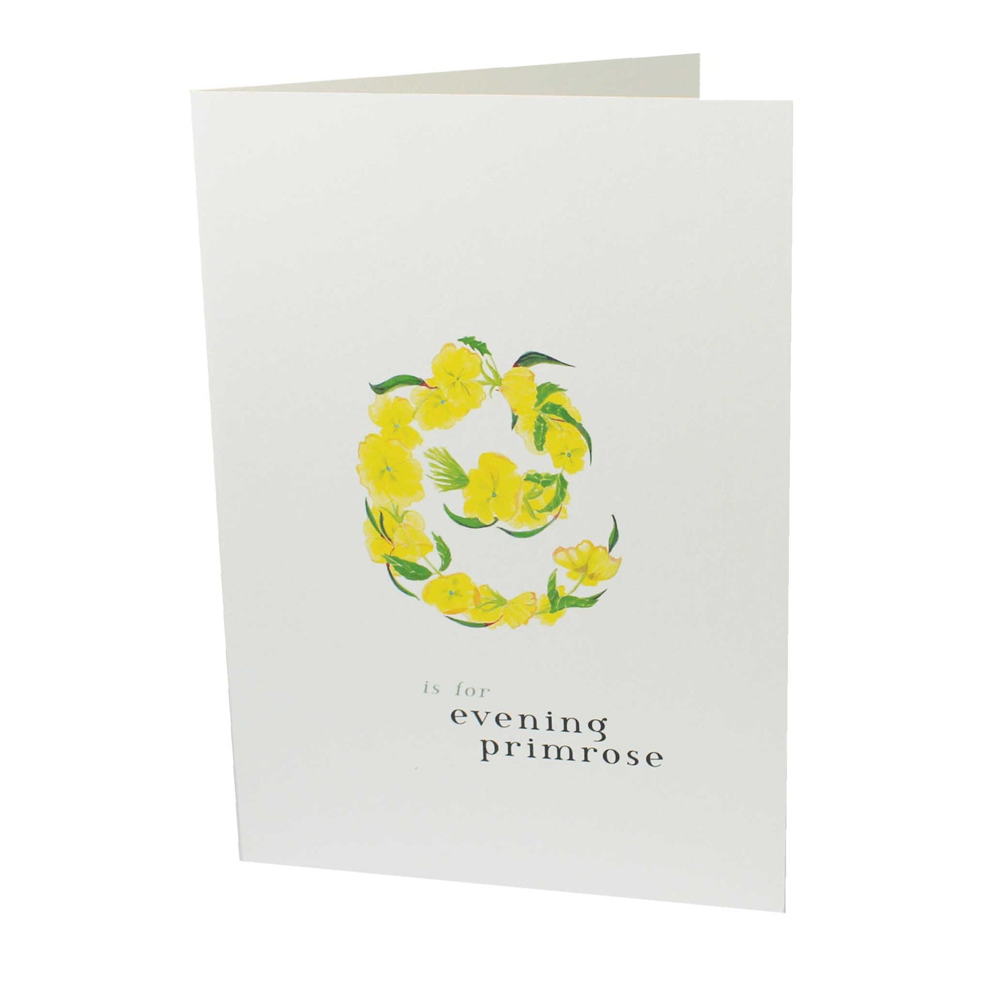 E is for Evening Primrose