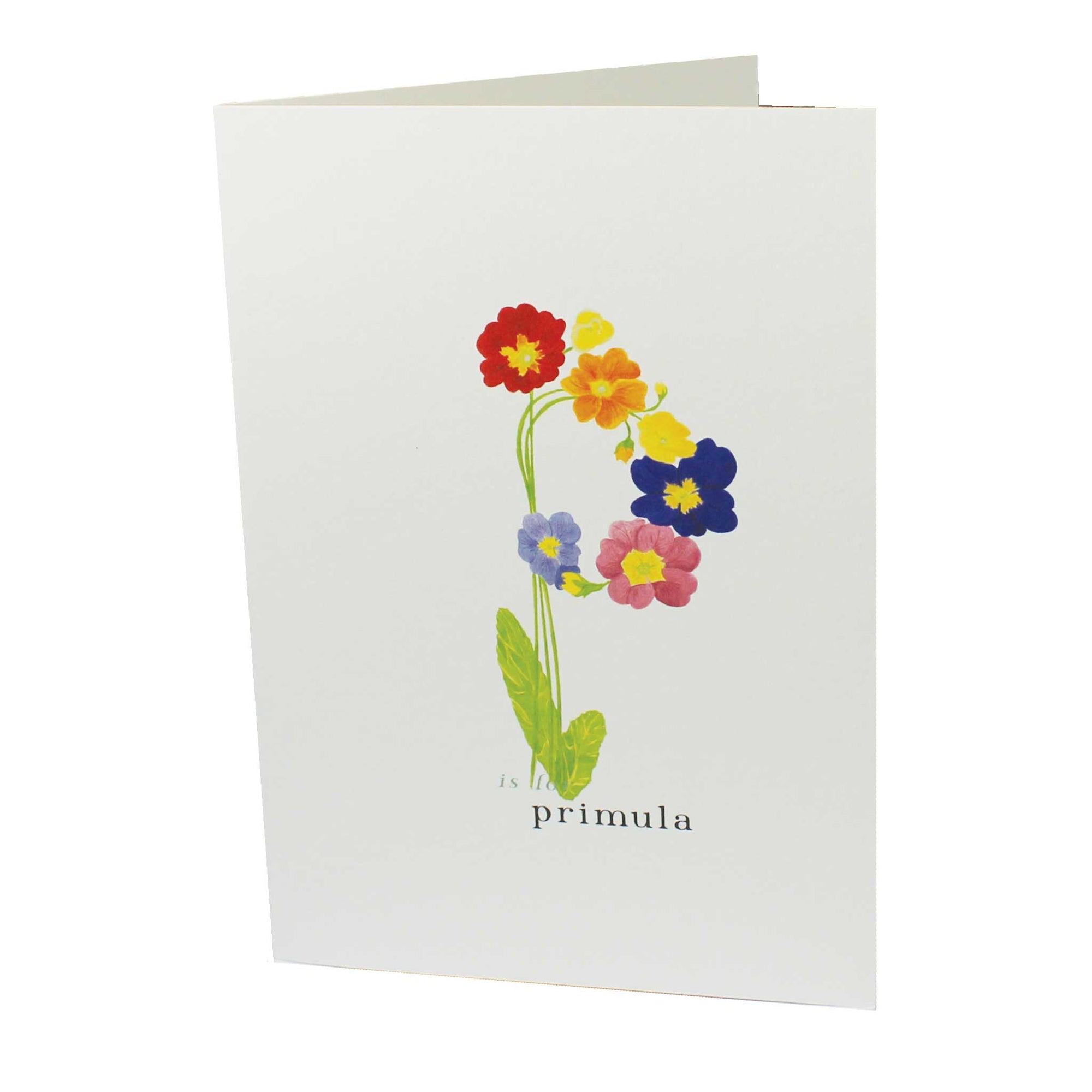 P is for Primula
