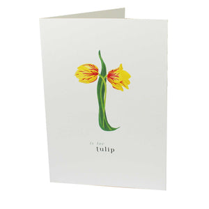 T is for Tulip