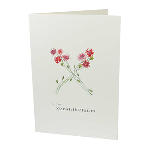 X is for Xeranthemum