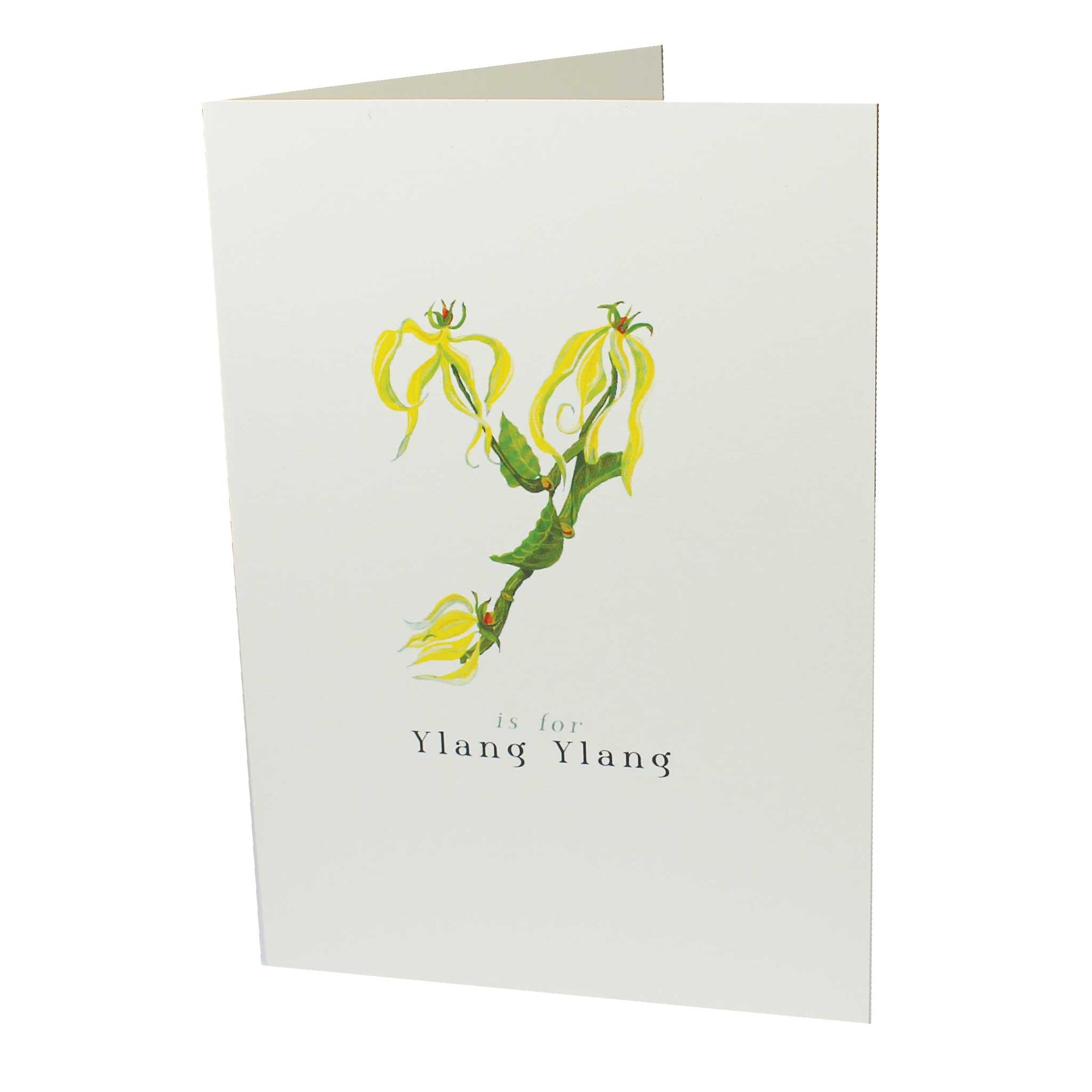 Y is for Ylang Ylang