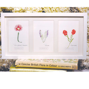 Flower Letter Print V