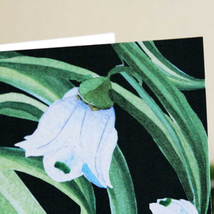 Botanical Impressions Christmas Cards