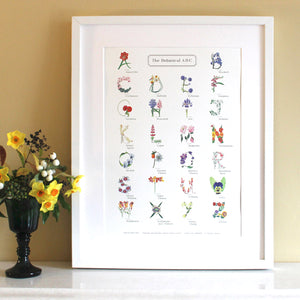 A Pair of The Botanical ABC Flower Alphabet Print, in Upper Case Letters and Lower Case Letters