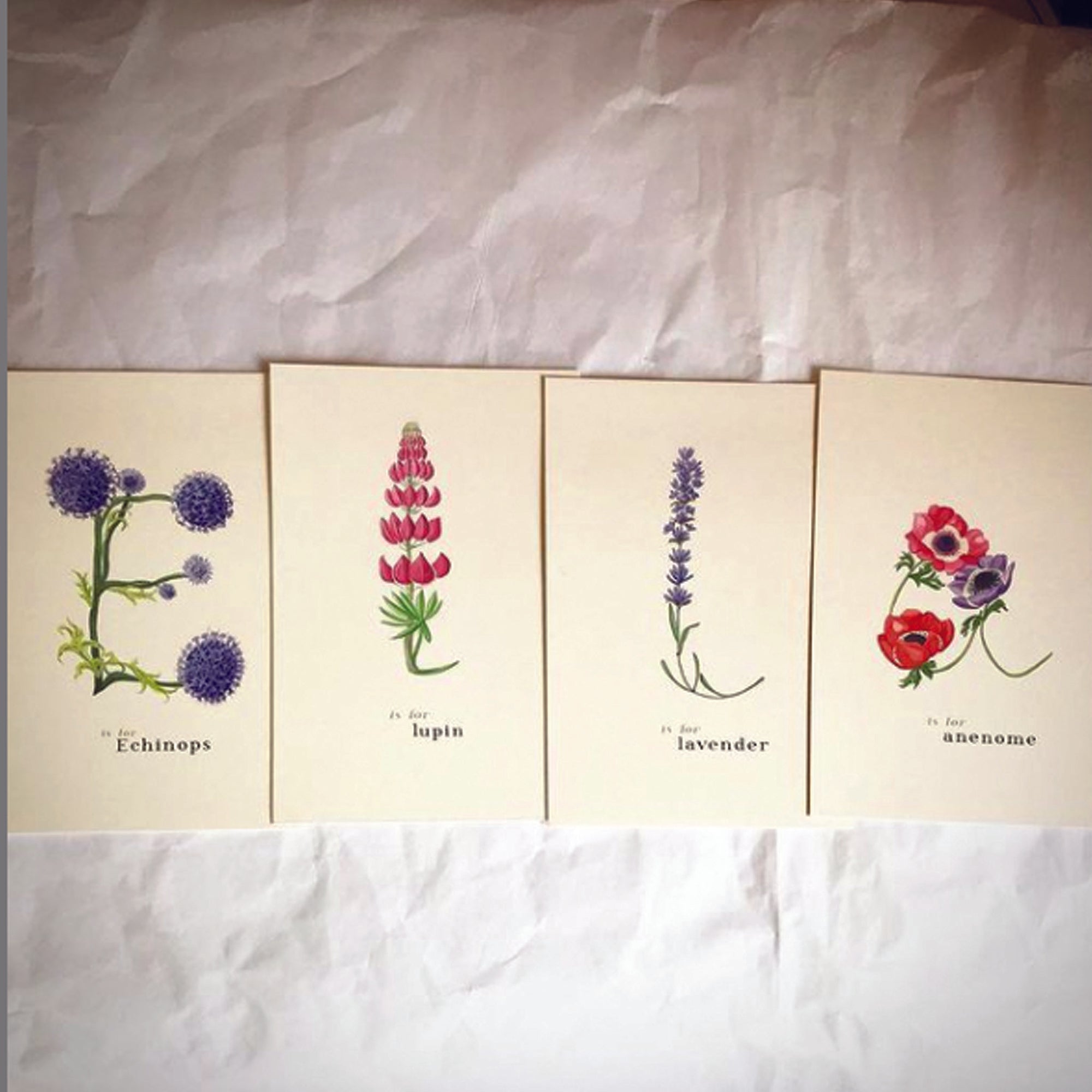 Flower Letter Print E