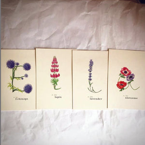 Flower Letter Print E