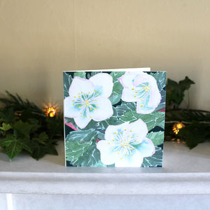 Botanical Impressions Christmas Cards