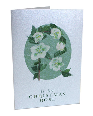 Botanical Letter Silver Christmas Cards