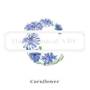 Flower Letter Print C