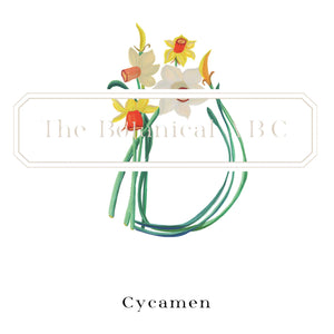 Flower Letter Print D