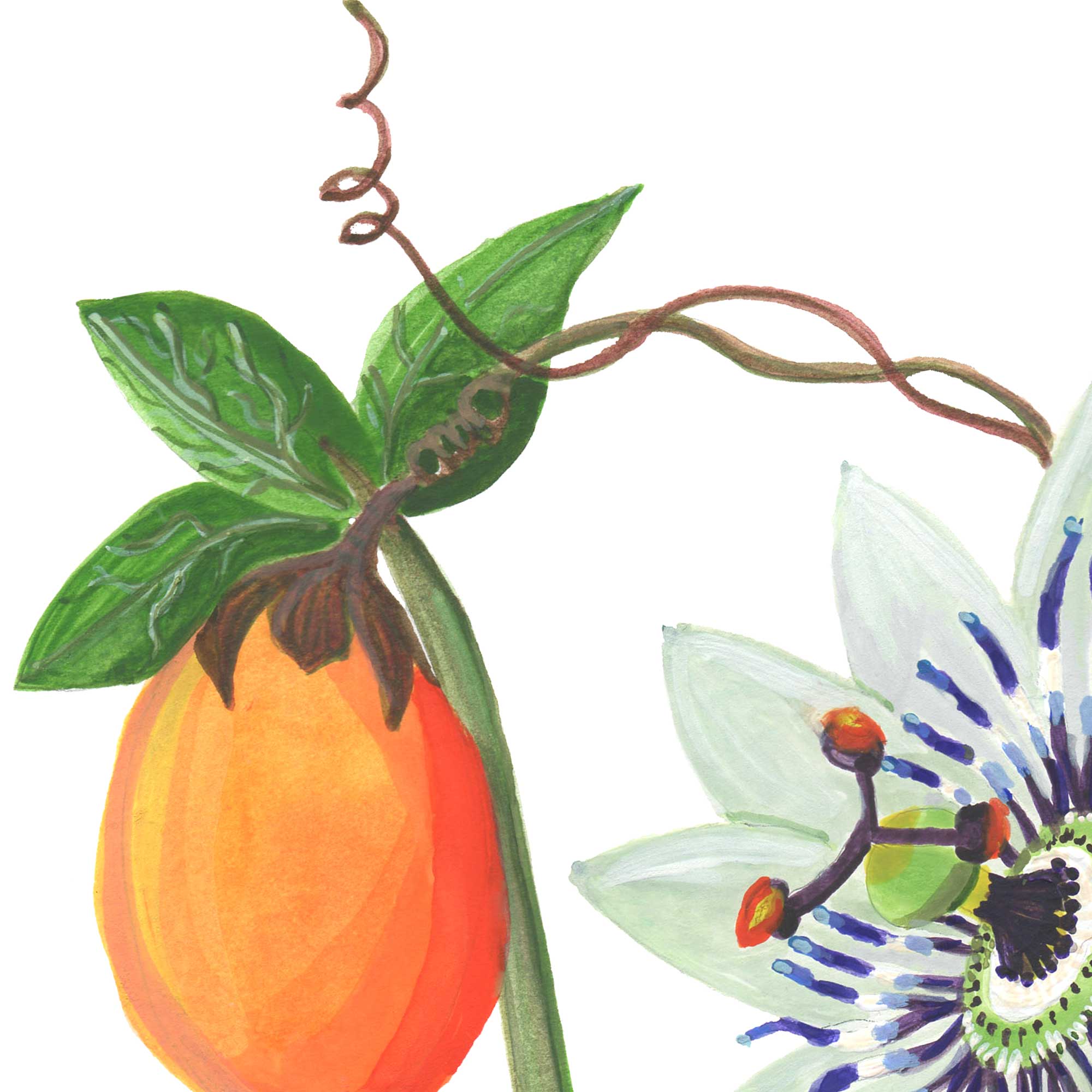 Flower Letter Print P