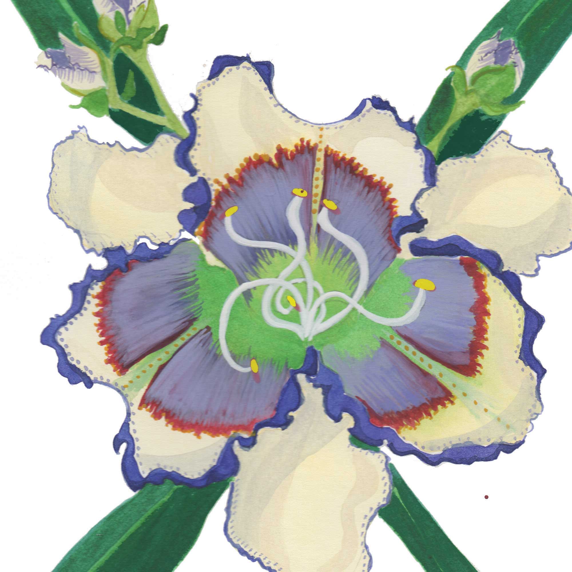 Flower Letter Print X