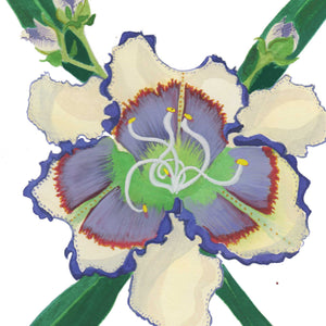 Flower Letter Print X