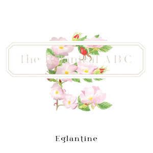 Flower Letter Print E