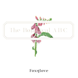 Flower Letter Print F