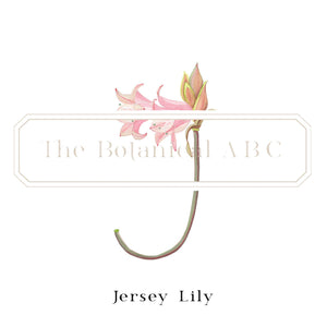 Flower Letter Print J