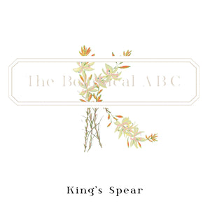 Flower Letter Print K