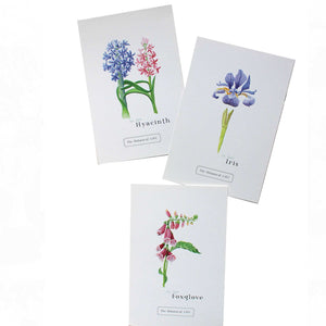 Flower Letter Print F