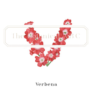 Flower Letter Print V