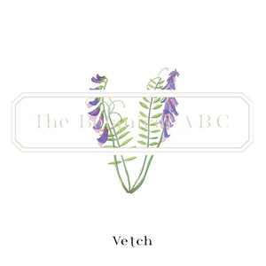 Flower Letter Print V