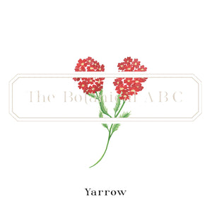 Flower Letter Print Y