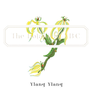 Flower Letter Print Y