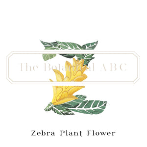 Flower Letter Print Z