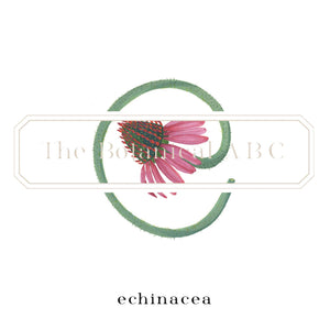 Flower Letter Print E