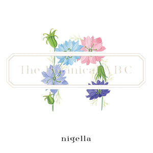 Flower Letter Print N