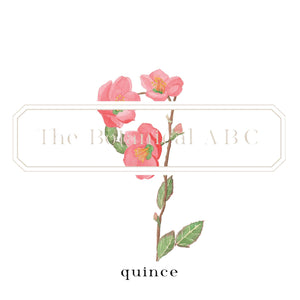 Flower Letter Print Q